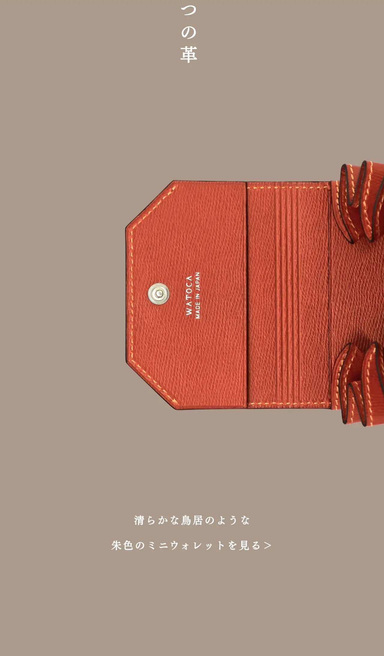 mini-cash-wallet-sazanami-010