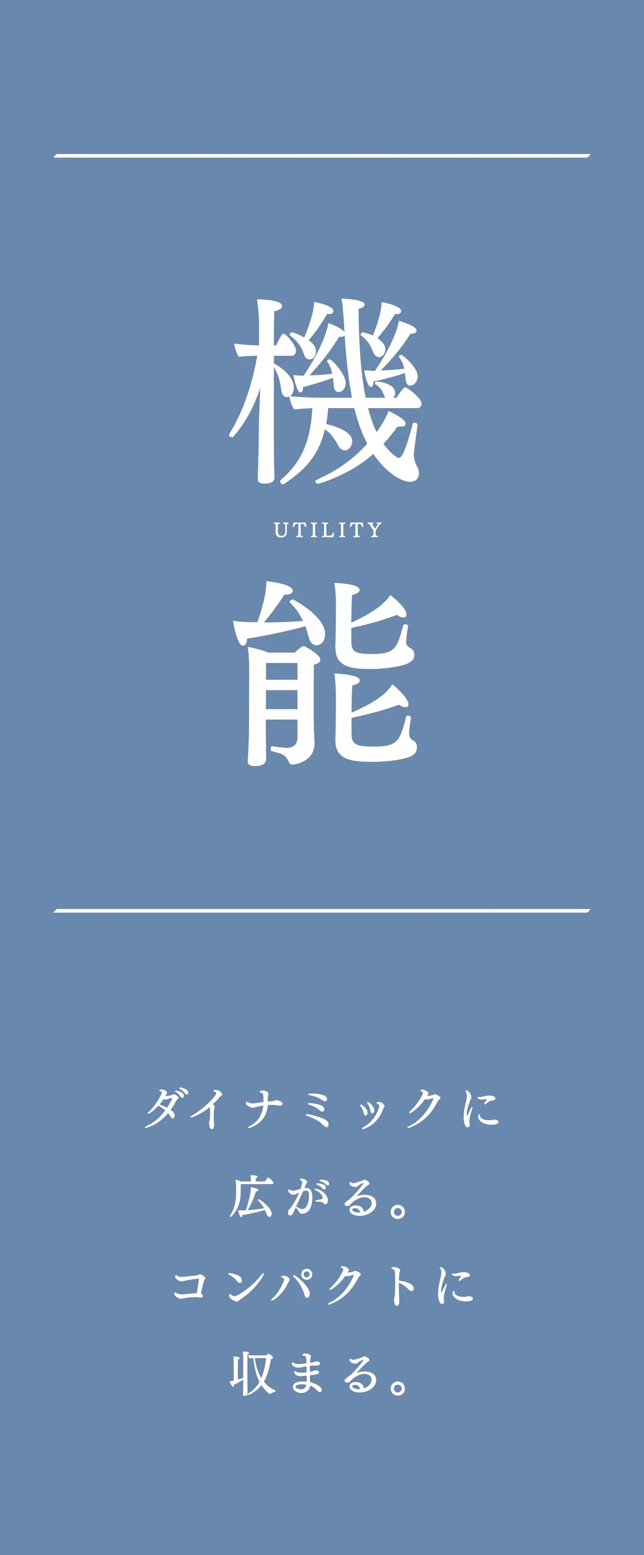 mini-cash-wallet-sazanami-011