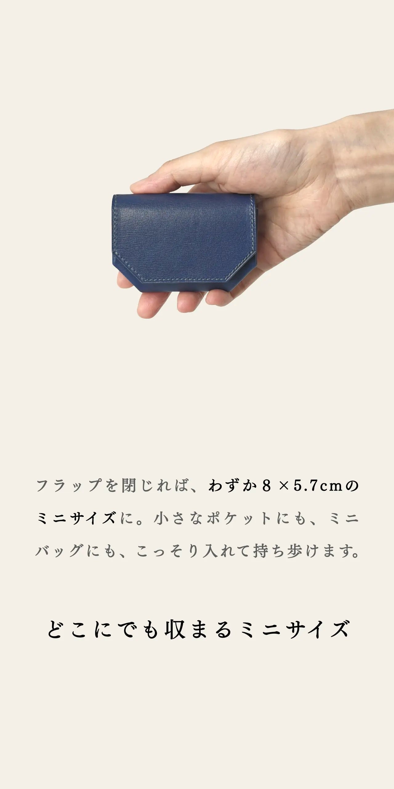 mini-cash-wallet-sazanami-013