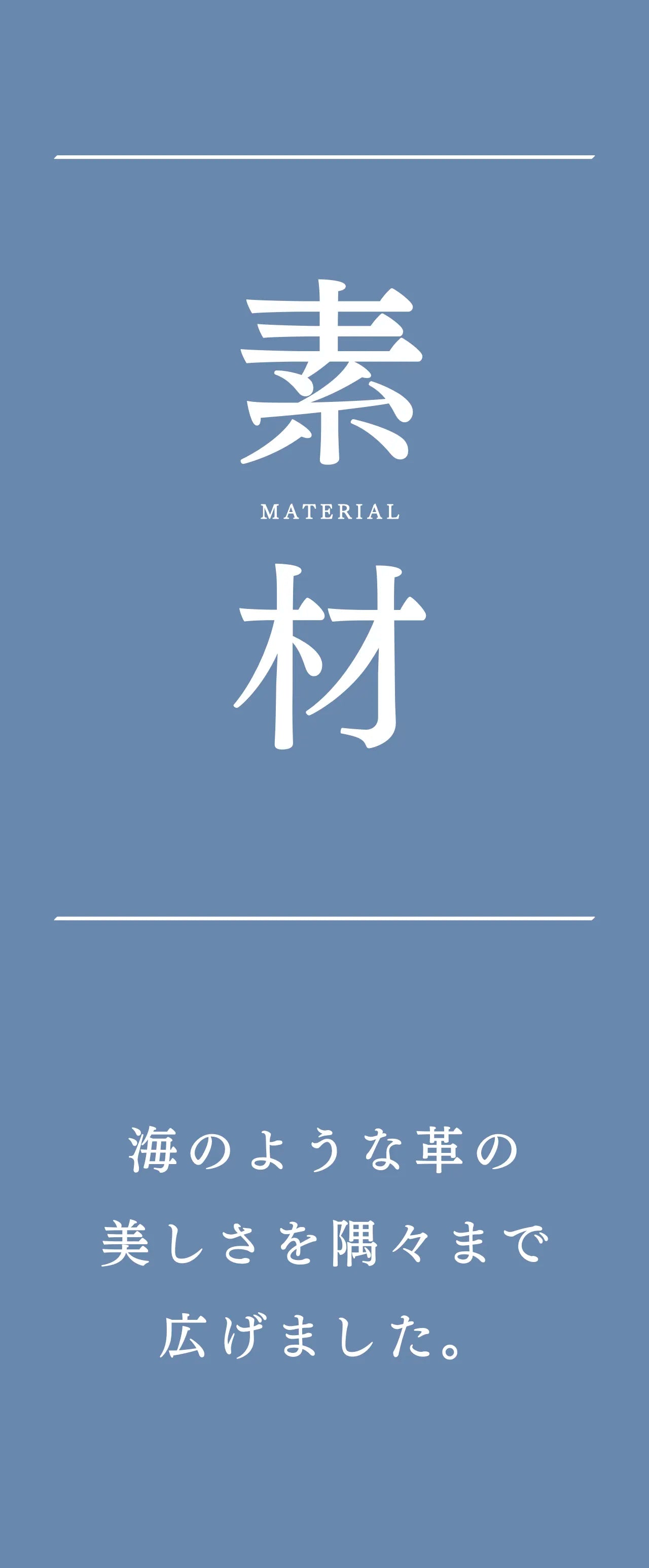 mini-cash-wallet-sazanami-025