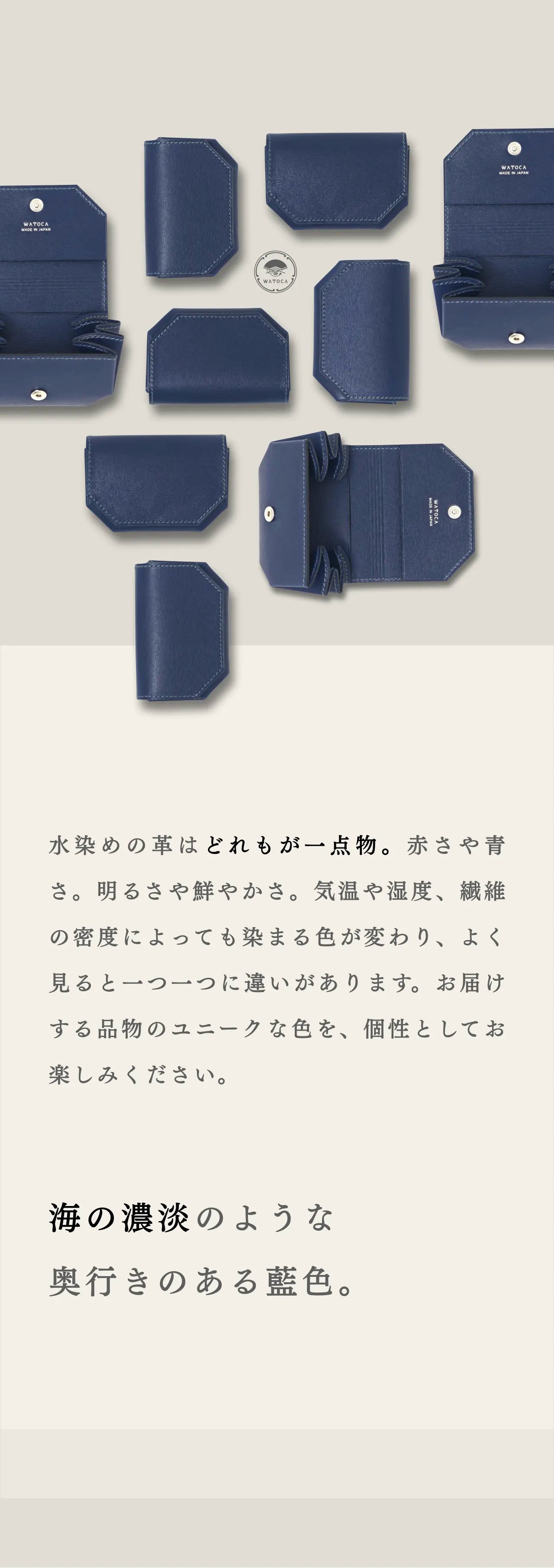 mini-cash-wallet-sazanami-030