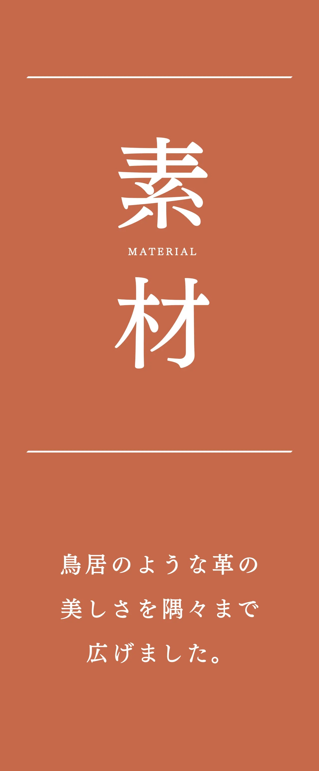 slim-card-holder-benigara-024