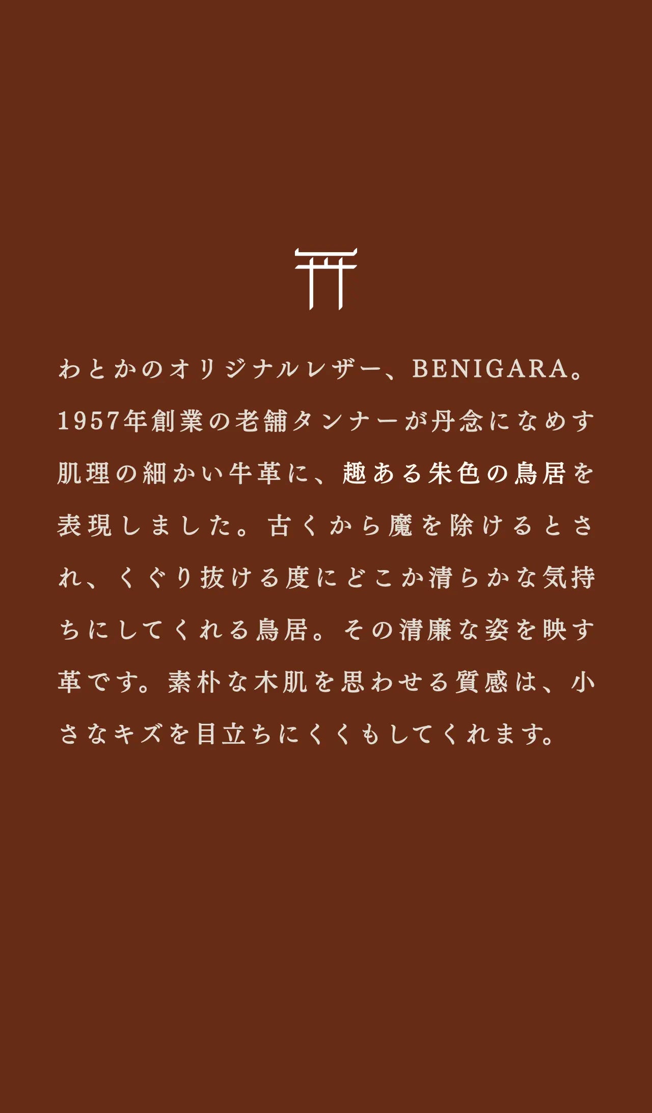 slim-card-holder-benigara-026