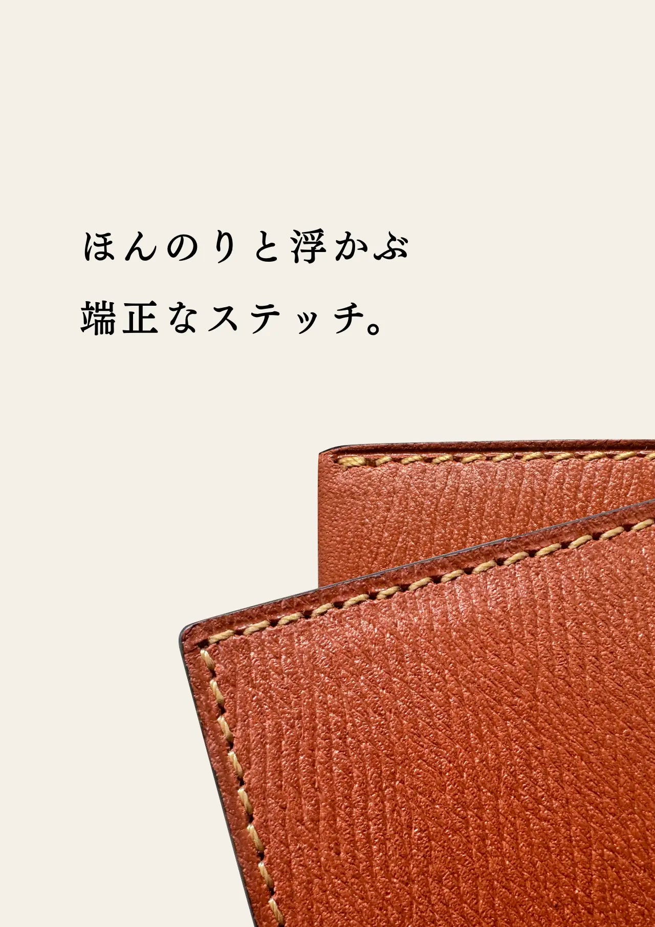 slim-card-holder-benigara-050