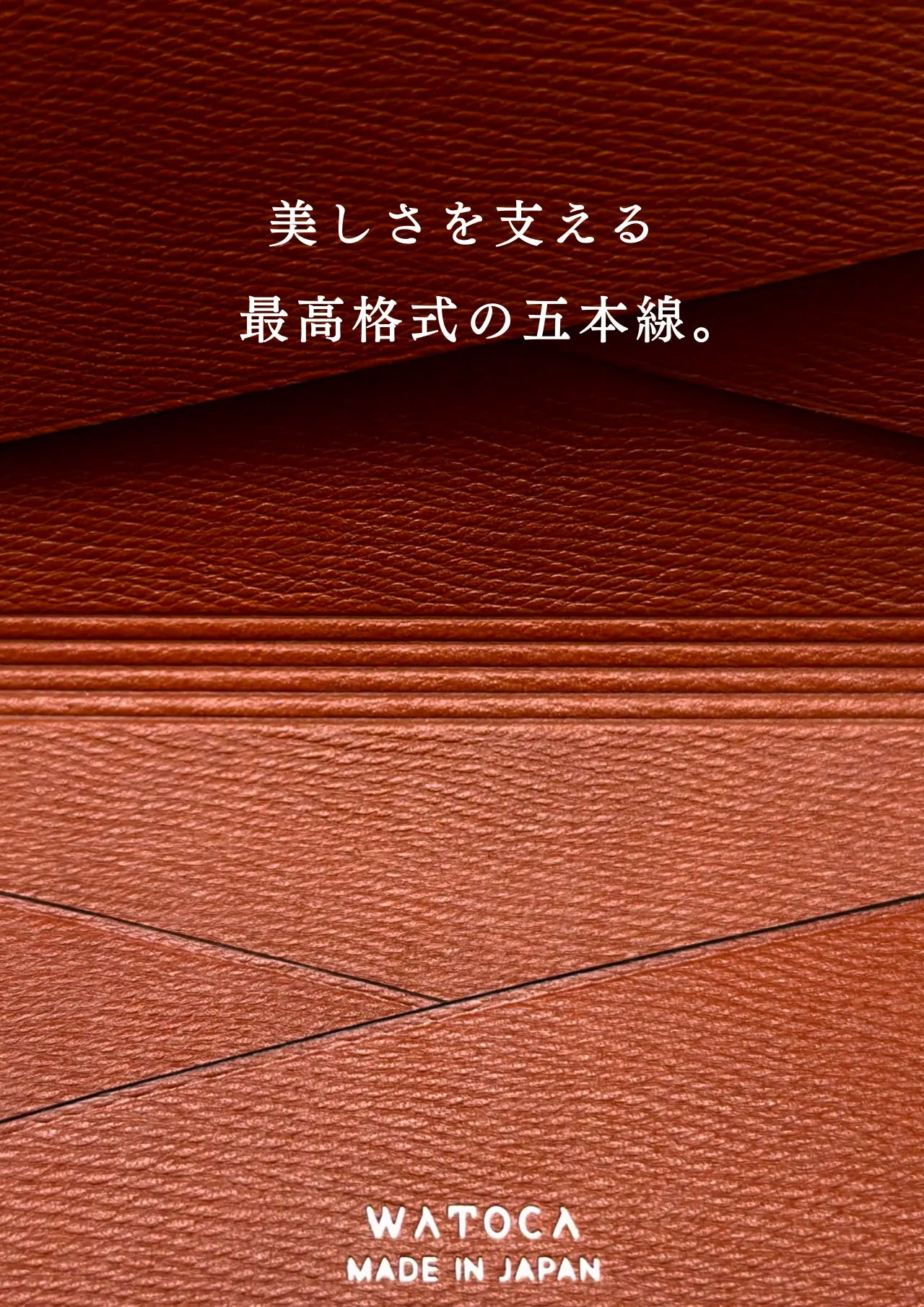 slim-card-holder-benigara-052